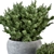 Gray Pot Outdoor Plant Set 3D model small image 3