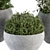 Gray Pot Outdoor Plant Set 3D model small image 4