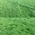 Lush Greenery: High-Quality Grass 3D model small image 1