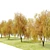 Willow Weeping Tree, Height 10m 3D model small image 10