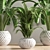 Green Oasis Indoor Plant Set 3D model small image 5