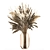 Elegant Dry Flower Bouquet 3D model small image 4