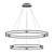 Modern Aluminum Annular Pendant Lamp 3D model small image 2