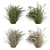 Pampas Bush Set: 42 Fresh & Dried 3D model small image 1