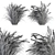 Pampas Bush Set: 42 Fresh & Dried 3D model small image 4