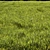 Scenic Meadow Grassland Set 3D model small image 2