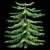 Natural Green Norfolk Island Pine 3D model small image 2