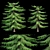 Natural Green Norfolk Island Pine 3D model small image 5