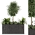 Outdoor Succulent Plants in Concrete Pot 3D model small image 1