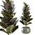 Enchanting Indoor Plants Collection 3D model small image 2