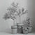 16-Piece Indoor Plant Set 3D model small image 6