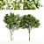 Elegant Gray Alder Tree: 3D Model 3D model small image 1