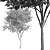 Elegant Gray Alder Tree: 3D Model 3D model small image 6