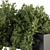 Ultimate Indoor Plant Box Set 3D model small image 3