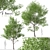 Himalayan Birch Tree Set (2 Trees) 3D model small image 1