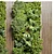 Fitowall Vertical Wood Frame Garden Decor 3D model small image 4