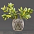 Collaction Indoor Plant Set 3D model small image 2