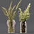 Collaction Indoor Plant Set 3D model small image 4