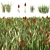 Versatile Grass Collection for Stunning Landscapes 3D model small image 2