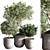 Cascading Greenery Indoor Plant Set 3D model small image 2