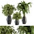 304 Indoor Plant Set: Potted Greenery 3D model small image 1