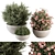 Lush Greenery Bundle - Gray Pot 3D model small image 1