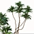 Exotic Duo: Ficus Pseudopalma (2 Trees) 3D model small image 3