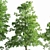 Eucalyptus Forest Pack - CG Trees for V-Ray 3D model small image 3