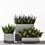 Title: Concrete Pot Outdoor Bushes 3D model small image 1