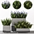 Title: Concrete Pot Outdoor Bushes 3D model small image 2