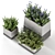 Title: Concrete Pot Outdoor Bushes 3D model small image 4