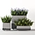 Title: Concrete Pot Outdoor Bushes 3D model small image 7