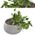 Green Oasis: Indoor Plants Set 3D model small image 2