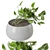 Green Oasis: Indoor Plants Set 3D model small image 3