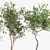 Botanical Beauties: 1050 Rare & Elegant Plants 3D model small image 3