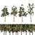 Pine Trees Pack Vol. 39 - High-Quality 3D Models 3D model small image 1
