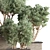 Outdoor Oasis Tree - Lifelike outdoor plant for a refreshing ambiance. 3D model small image 6