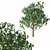 Majestic Apple Tree - 3.5m Tall 3D model small image 1