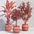 Tropical Greenery Collection 3D model small image 7