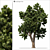 Nature's Haven: Exquisite Landscape Tree 3D model small image 1