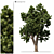 Nature's Haven: Exquisite Landscape Tree 3D model small image 5