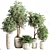 Modern Indoor Plant Set 3D model small image 1