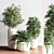 Modern Indoor Plant Set 3D model small image 3