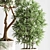 Modern Indoor Plant Set 3D model small image 6