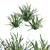 BlueEyeGrass: Stunning 3D Ground Cover 3D model small image 1