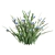 BlueEyeGrass: Stunning 3D Ground Cover 3D model small image 2