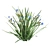 BlueEyeGrass: Stunning 3D Ground Cover 3D model small image 3