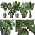 Tropical Plant Collection: Ficus, Banana, Monstera 3D model small image 1