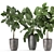 Tropical Plant Collection: Ficus, Banana, Monstera 3D model small image 3