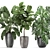Tropical Plant Collection: Ficus, Banana, Monstera 3D model small image 5